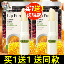 Mentholatum natural plant lipstick female fragrance-free moisturizing moisturizing anti-drying colorless male lip balm primer