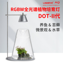 Resida new 2nd generation DOT-II RGBW micro landscape moss lamp desktop micro landscape plant lamp succulent fill light