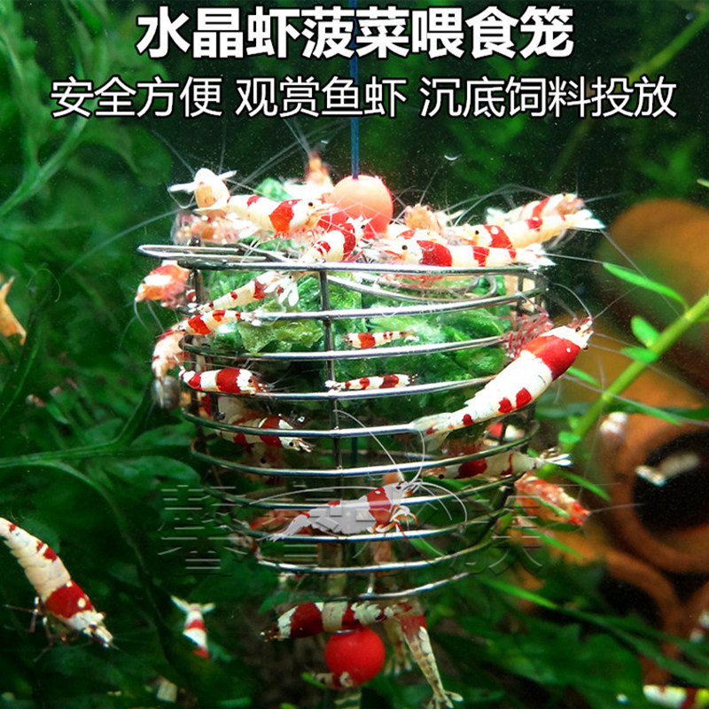 观赏虾专用不锈钢水晶虾喂食器 适用异型鱼及底栖息鱼的圆柱形大号喂食工具