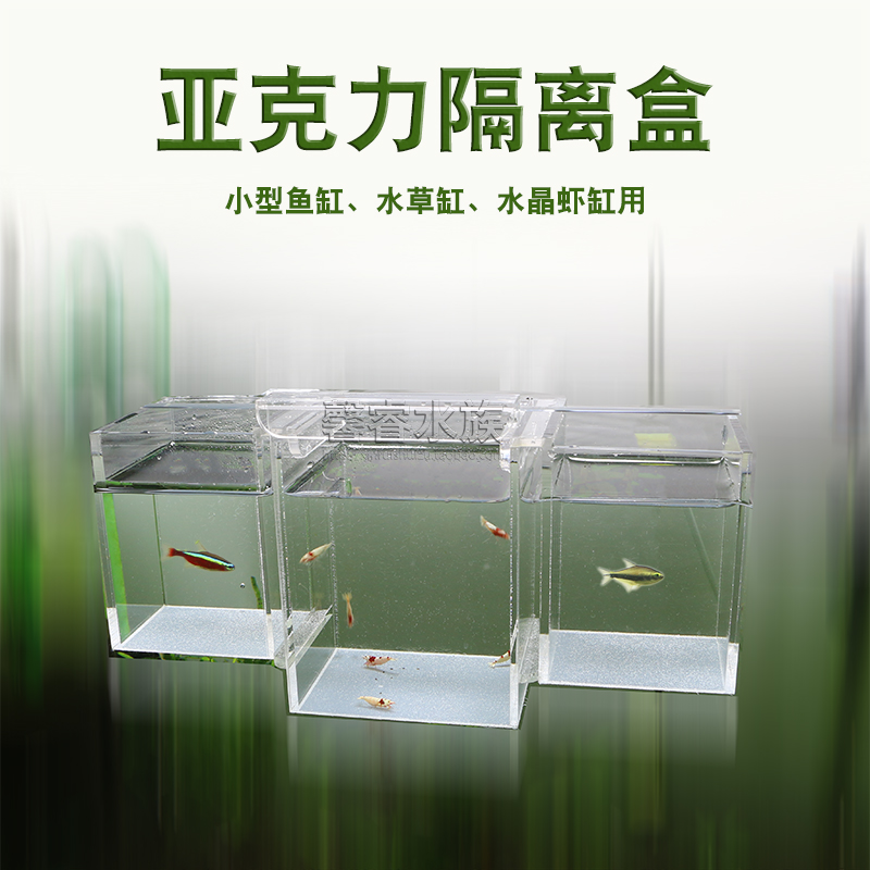 Xinrui Water Group Acrylic Isolation Box Hatchbox Fish Tank Water Grass Cylinder Crystal Shrimp Su Shrimp Cylinder Thickened Isolation Box