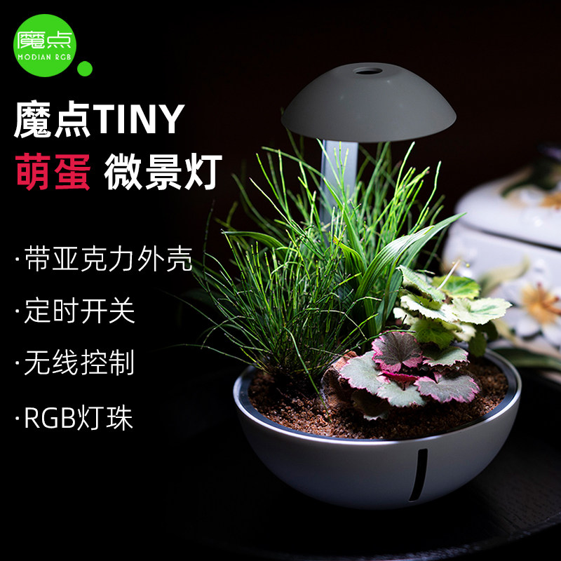 魔点TINY系列萌蛋微景灯水草灯植物 照明补光灯室内景观 苔藓灯