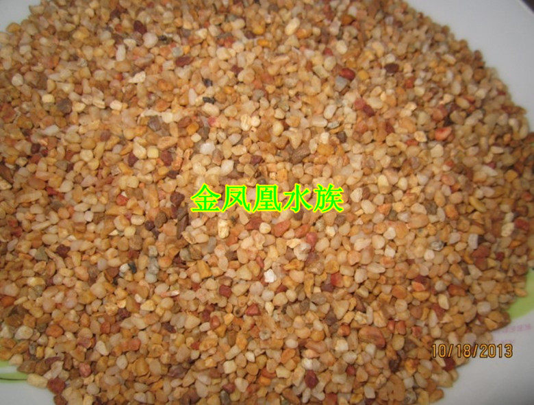 Gold Sand Natural River Sand Fish Bottle Tortoise Bottom Sand Water Scenic Sand 500g 1 2 yuan