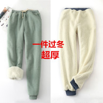 Winter lamb wool padded sweatpants small feet plus velvet casual pants loose Harlan pants cotton pants women wear big size
