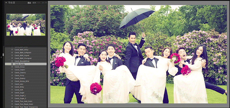 ps插件PR/AE/LR全天插件合集磨皮美白抠图抠像降噪转场字幕粒子模板调色 31000个ps/PR/AE/LR CC2020 全套插件合集