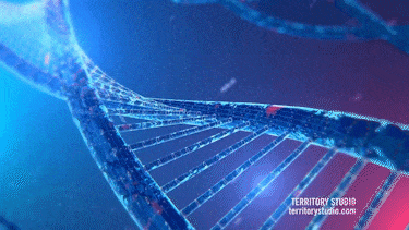 ps插件PR/AE/LR全天插件合集磨皮美白抠图抠像降噪转场字幕粒子模板调色 31000个ps/PR/AE/LR CC2020 全套插件合集