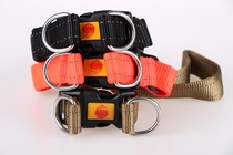 Quick collar Beijing guard dog gear working dog horse dog German shepherd pet dog collar outdoor dog walking retractable headgear