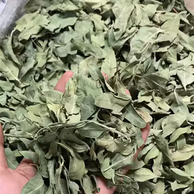 Lop hemp leaves 3 pieces Lop hemp tea Lop Hemp brewing tea 500g g Chinese herbal medicine