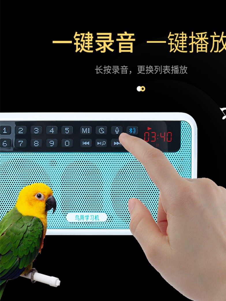 Bird Learning Machine, Parrot Talking Machine, Magpie High-Quality Repeater, Myna Bird Recording and Teaching Speaking with Timed Language Learning