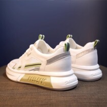 Small Square Studio Womens Mesh Breathable Summer 2024 New Spring and Autumn Thin Style Student Versatile Popular Sports