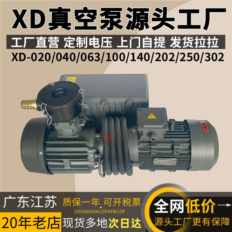 Rotary Vane Vacuum Pump Xd-020 Xd-040 Xd-063 Xd-100 Xd-160/202 Vacuum Pump for Packaging Machine