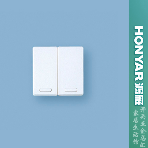 Hangzhou Hongyan M120 switch panel M118 Galaxy switch socket MK22-10N two open double module