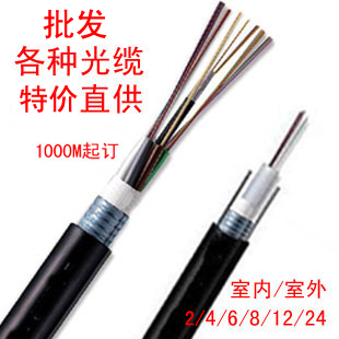 4-core 6-core 8-core 12-core 24-core internal and external communication cable Fiber optic center beam tube Armor quality assurance 