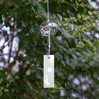 Тунг цветок