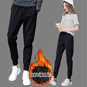 Mùa thu và mùa đông Quần harem mới size lớn Quần nữ chân thường dày cộng với quần nhung Quần dài mặc quần dài