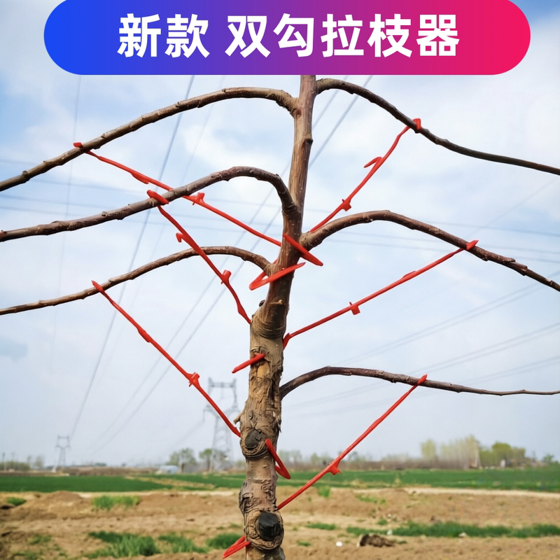 Double Hook Plastic Branch Puller, Double Hook Fruit Tree Branch Shaping Tool, Double Hook Branch Puller for Dense Planting Gardens to Prevent Branches from Drooping, Manufacturer Double Hook Plastic Branch Puller, Double Hook Fruit Tree Branch Shaping Tool, Double Hook Branch Puller for Dense Planting Gardens to Prevent Branches from Drooping, Manufacturer