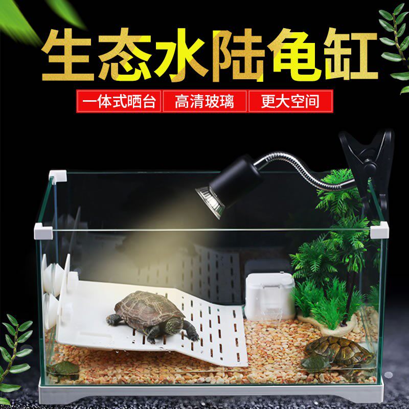 Mori tortoise tank with filter drying table tortoise special tank tortoise ecological tank glass breeding tank household tortoise box