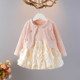 Fashionable girls dress for girls autumn princess dress for one year old baby girl dress for spring and autumn baby fluffy skirt