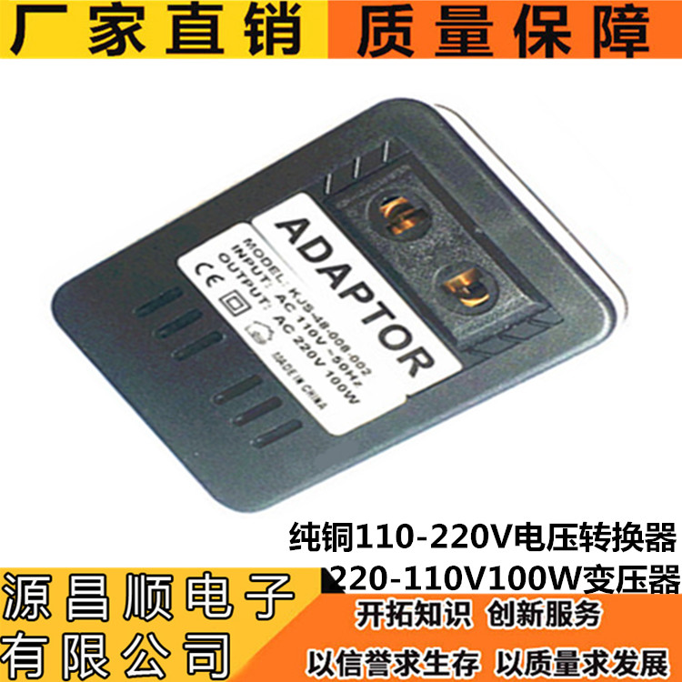 Manufacturer AC110V to 220V power converter transformer pure copper 100W high voltage tourism Chinese electrical appliances
