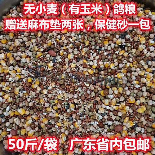 Wheat-free pigeon food 50 catties pigeon food Guangdong bird food homing pigeon meat pigeon free postage feed racing pigeon meat pigeon