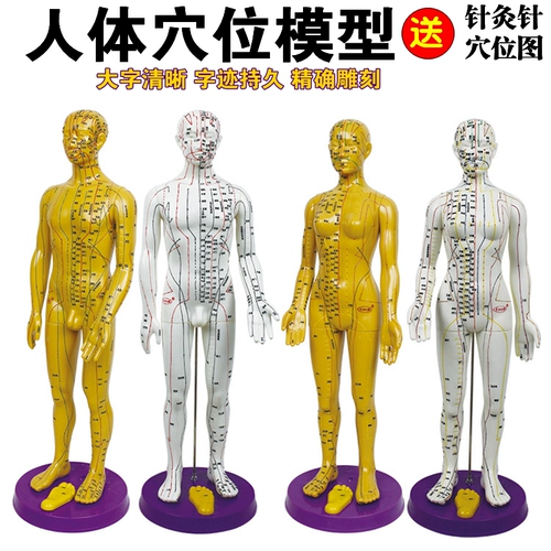 15 -Year -Sold Shop Ten Colors Бесплатная доставка прозрачно