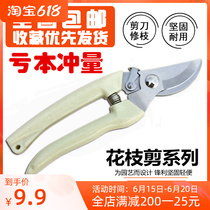 Outdoor Gardening Prunes Prunes Garden Trees Prunes Prunes prunes Home trim branches Cut coarse branches Cut garden tools