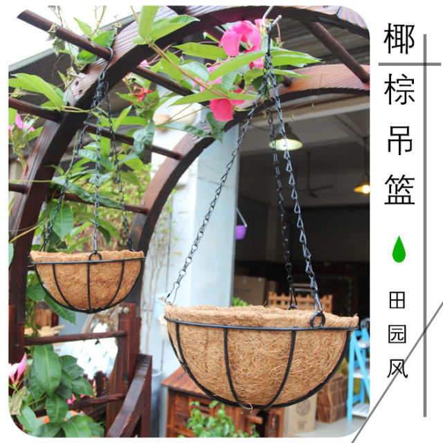 Coconut palm hanging basket flower pot hanging hanging orchid flower pot creative hanging special hook green radish succulent hanging wall hanging pot