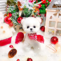 Thoroughbred beagle puppies live beagle dog French curly Beagle living pet kennel live dog