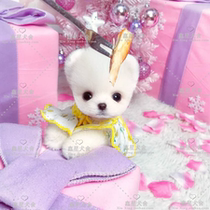 Thoroughbred handsome dog teacup Bomei puppies live small Hadoli sphere pocket play dog pet