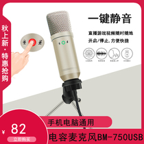 Capacitive microphone BM 750USB mobile phone computer game K song chat recording microphone holder live suit