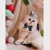 Шапка, аксессуар для волос, милый шлем ручной работы с бантиком