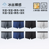 23781 【7a Grade Ginsenc