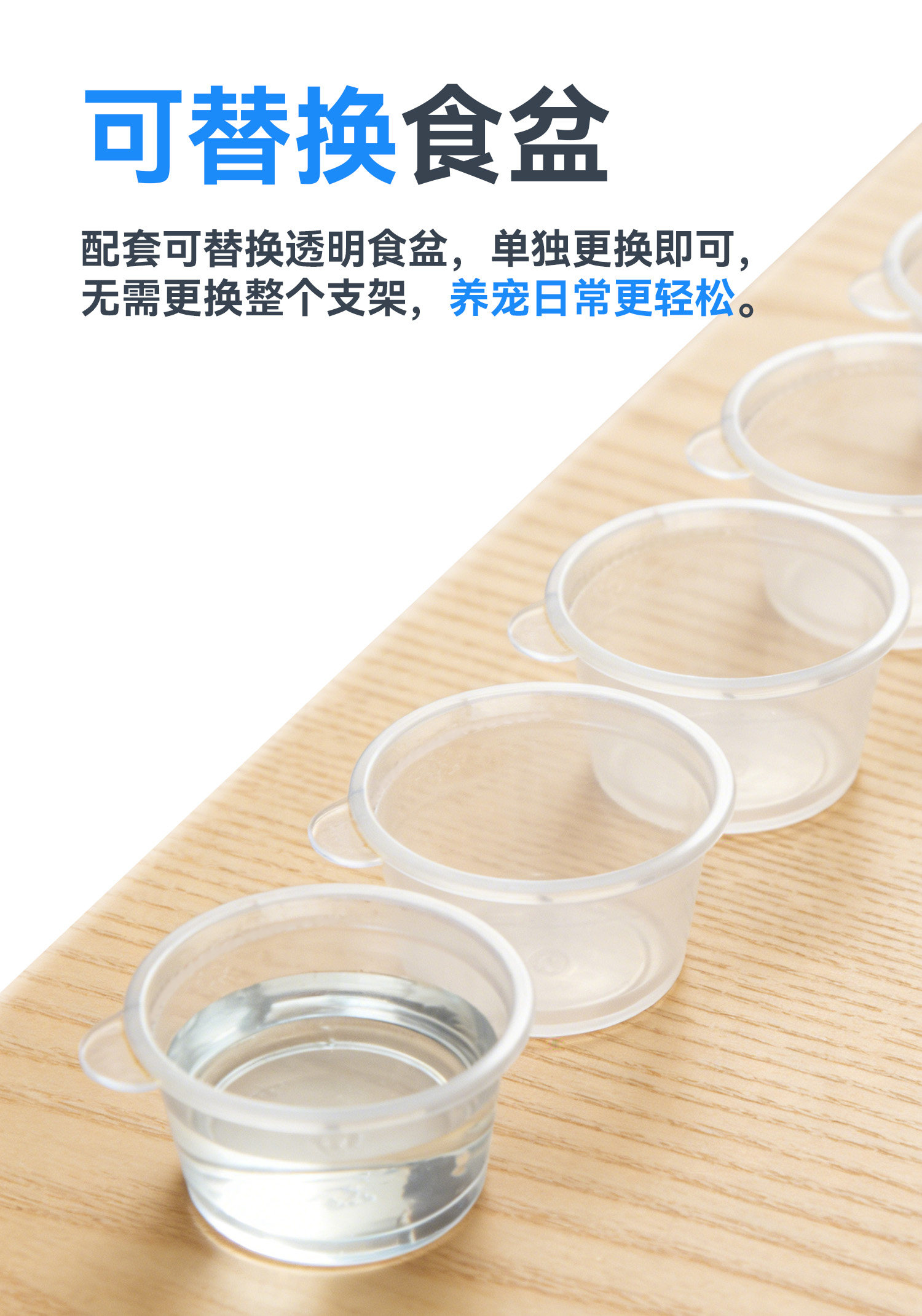 【达芬奇严选】悬浮磁吸水盆睫角水盆果泥盆树栖爬宠水盆 detail 5