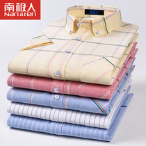 Antarctic person pure cotton short sleeve shirt male yellow plaid Oxford spun-free shirt male buckle collar full cotton half sleeve inch fir