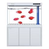Minjiang Fish Tank Аквариум гостиная Большое масштабное дно.