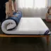 罗 旺 mattress nệm cao su hai mặt 6cm 10cm vải dệt kim mat 0,9m Giường Simmons chiếu - Nệm