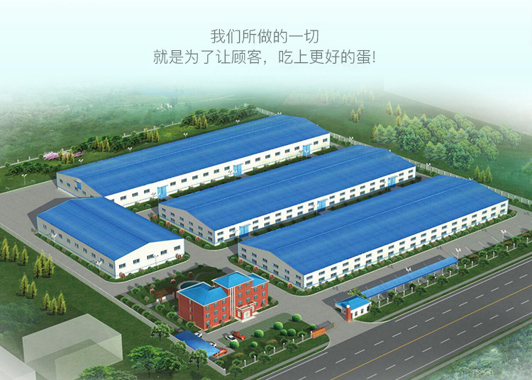 Jingjiang Songhua сохранила Egg_15.jpg