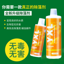 Fish tank aquarium algae removal agent Fish Tank algae removal agent algae removal agent green water removal moss removal of Moss