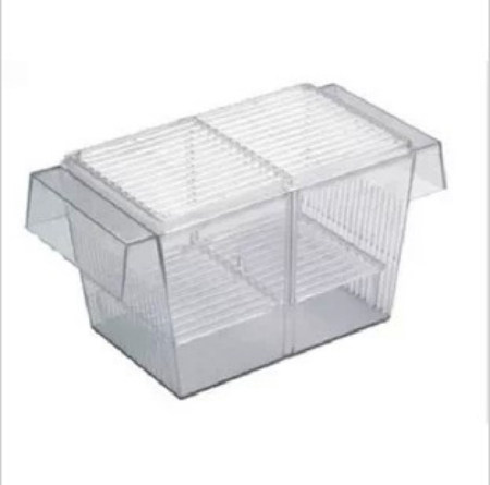 Peacock fish fetal raw fish High transparent propagation box Isolation box cover separator Tropical fish