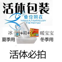 Living body packaging foam box heating bag this shop live ornamental fish special single shot does not send