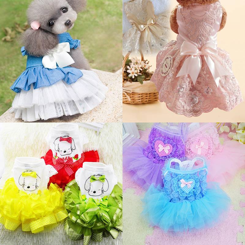 Spring and summer new special pet clothes spring and summer puppy dog ​​Teddy Bichon Pomeranian princess lace skirt