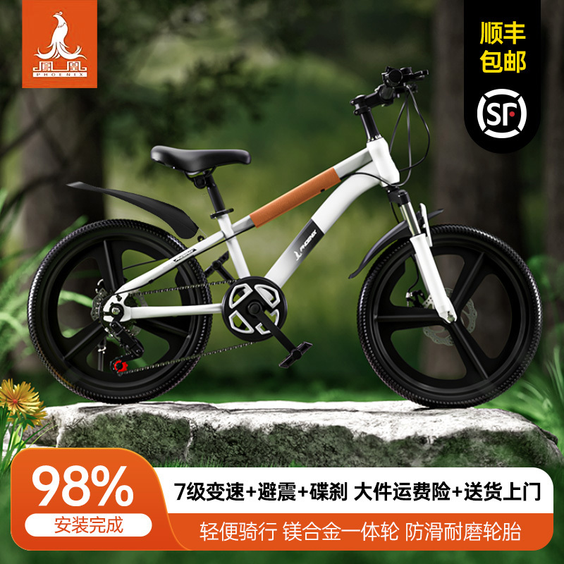 Phoenix Kidsren's Bicycle for Boys Aged 6-15, Middle-Aged and Older Girls, Mountain Disc Brake Variable-Speed Bicycle, Gift for Primary School Students Phoenix Kidsren's Bicycle for Boys Aged 6-15, Middle-Aged and Older Girls, Mountain Disc Brake Variable-Speed Bicycle, Gift for Primary School Students