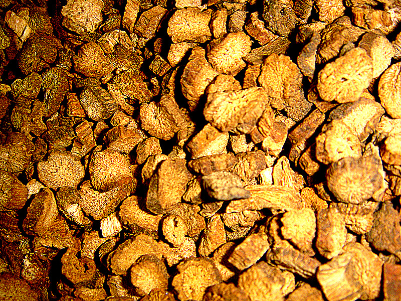 () Guangxi specialty authentic Wild burdock Tea 500g