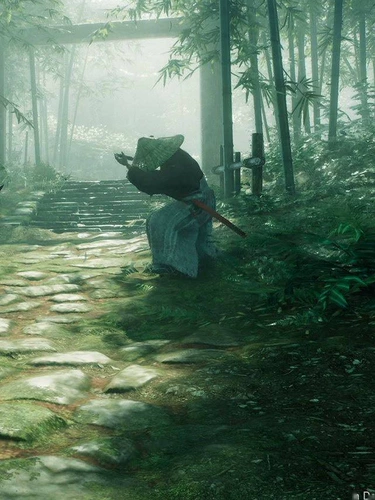 Sony PS5 Game Ruroue Rise of the Ronin Hong Kong версии первой версии китайского языка на заказ