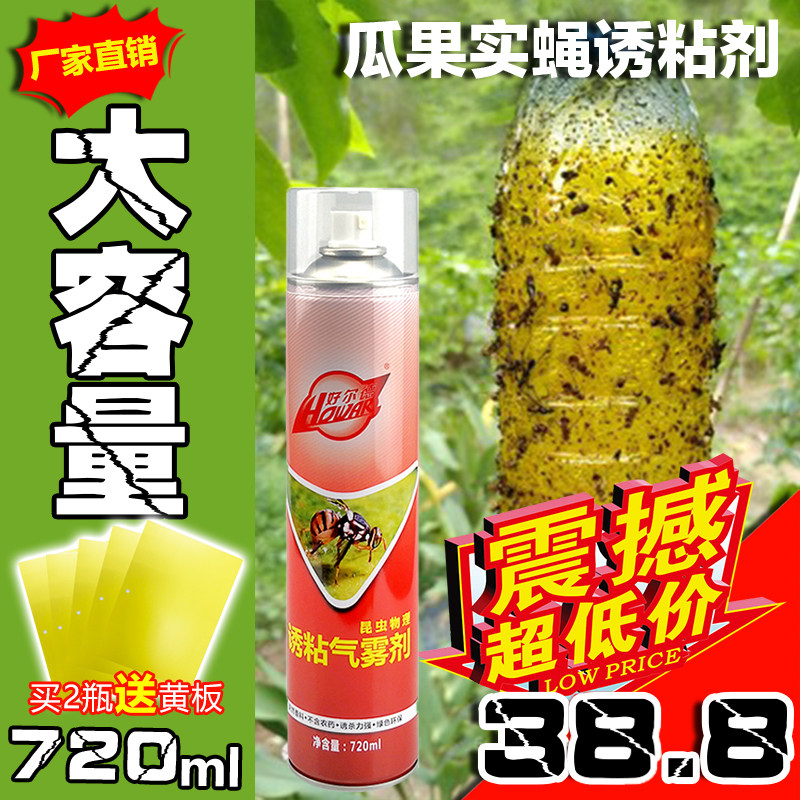 Fruit fruit fly needle bee attractant to kill Drosophila needle bee medicine attractant artifact sclerotis plate yellow plate trap