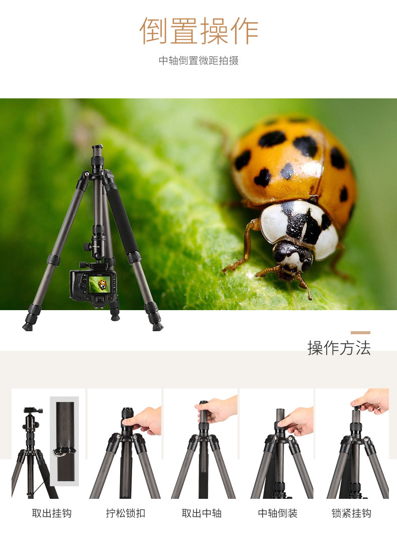 Weifeng C6626 sợi carbon chân máy xách tay SLR chuyên nghiệp đơn vi Canon chụp ảnh camera monopod thể đứng Nikon Sony điện thoại di động du lịch Carbon chân monopod - Phụ kiện máy ảnh DSLR / đơn tripod bạch tuộc