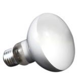 Reptoca поставляет UVA отопление огней с дисконтированным драконом, Luo Luo 鬣 Lizard изоляционные светильники Имитация японской световой матовой матовой