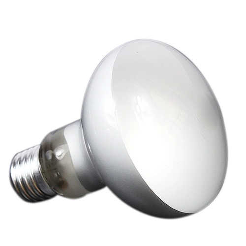 Reptoca поставляет UVA отопление огней с дисконтированным драконом, Luo Luo 鬣 Lizard изоляционные светильники Имитация японской световой матовой матовой