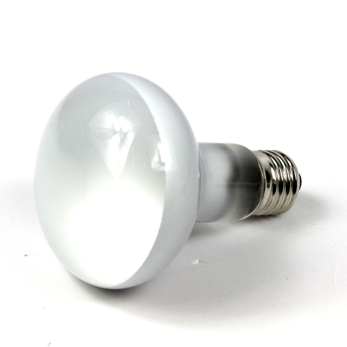 Reptoca поставляет UVA отопление огней с дисконтированным драконом, Luo Luo 鬣 Lizard изоляционные светильники Имитация японской световой матовой матовой