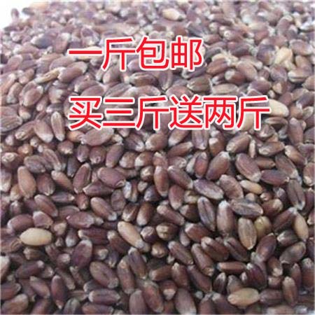 Black wheat 500g black wheat grain rye rye rye rice rich selenium black bread rice burnt with miscellaneous grain cereals