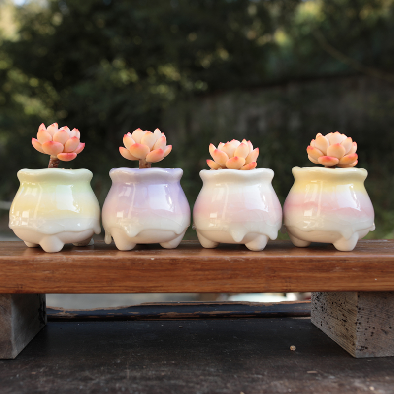 Fresh and Simple Ice-Cracked Ceramic Succulent Flower Pot in the Shape of a Small Milk Jug, Rainbow Indoor Decorative Set for Green Plants